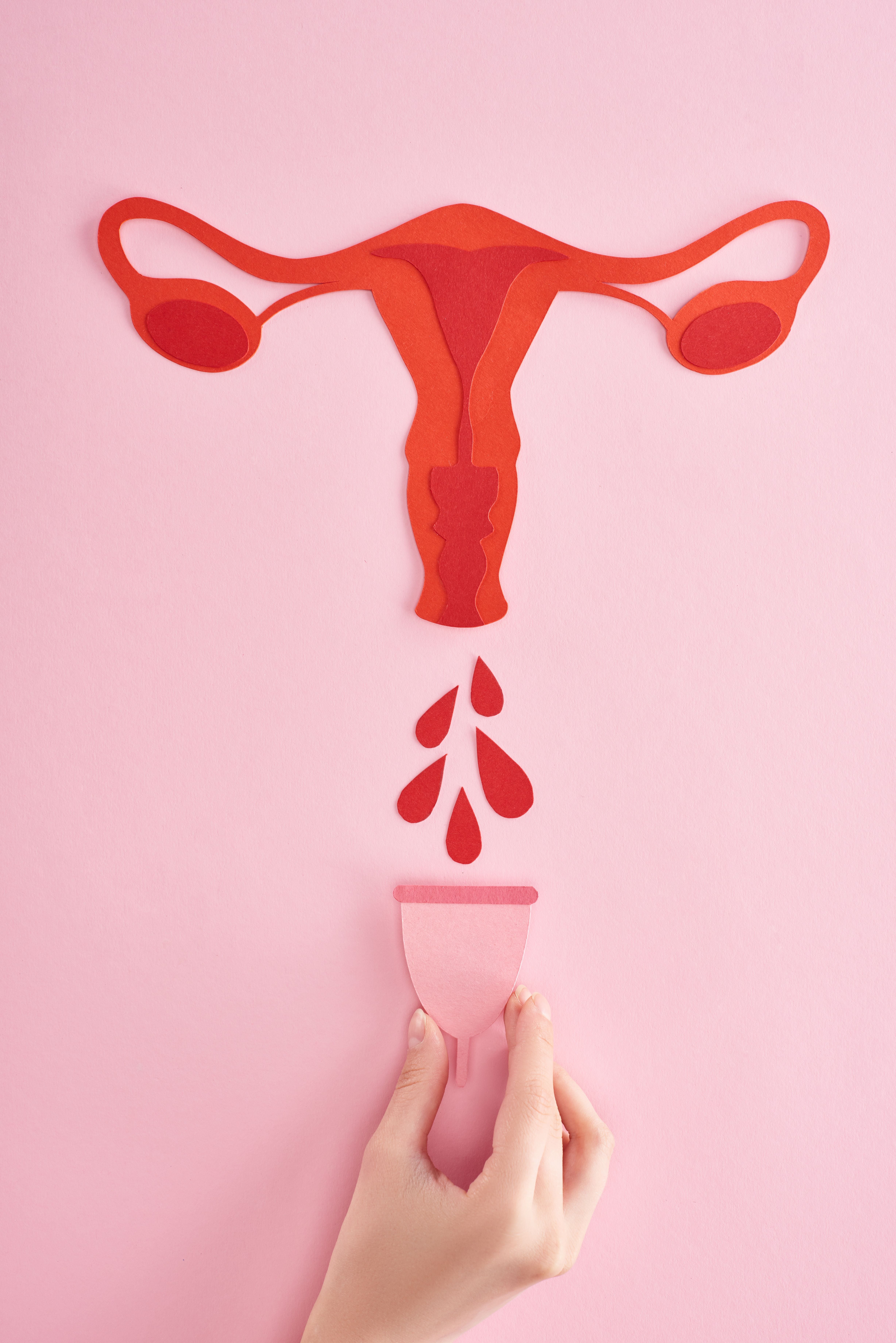 The 4 Phases of the Menstrual Cycle, Explained The 4 Phases of the Menstrual Cycle, Explained